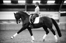 Wilco Kats Clinic